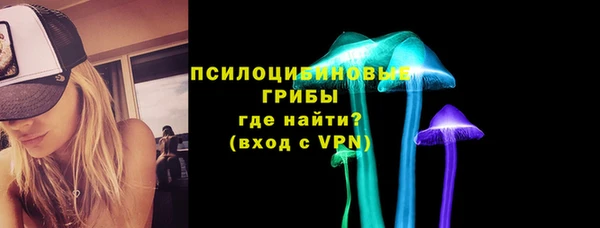 не бодяженный Нязепетровск
