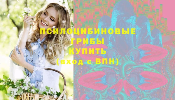 не бодяженный Нязепетровск