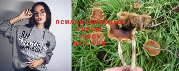 не бодяженный Нязепетровск