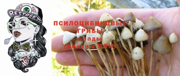 спиды Новозыбков