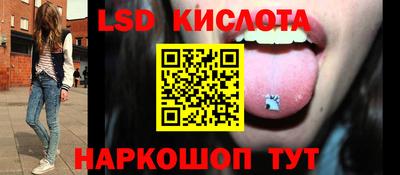 spice Бийск