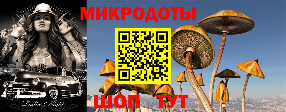 Псилоцибиновые грибы MAGIC MUSHROOMS Алапаевск