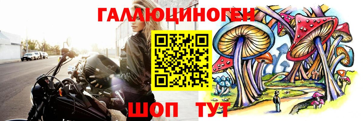 наркота  Алапаевск  Галлюциногенные грибы мухоморы 